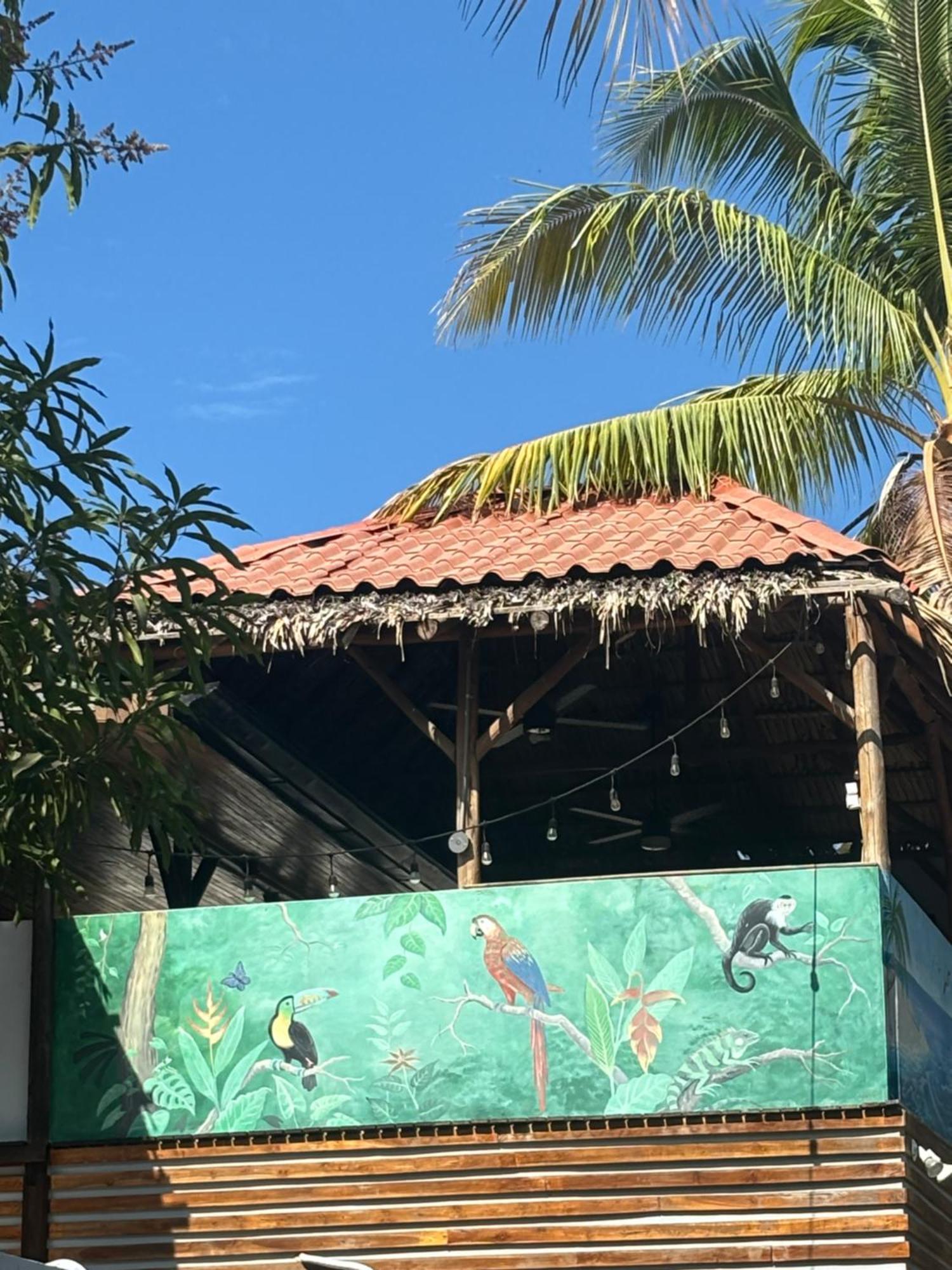 Bed and Breakfast Quinta Esencia Brasilito Exterior foto